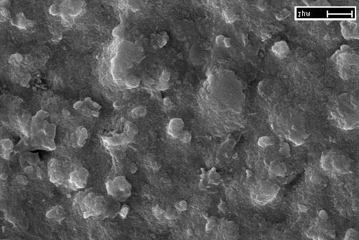 Micrografia eletrônica da superfície do ferro nitretado à plasma e resfriado em ar, fora da câmara.