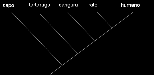 água água dentro da dentro da previne a dentro da mãe mãe desidratação mãe Natureza do Em ovo Em ovo marsupial placentário Em