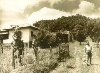 20 jardim, pois as flores rapidamente florescem e morrem no meio da pastagem. Ninguém é tão ligado nestas coisas como eu, tentando tirar o possível de ervas daninhas e capim. (LENARD, 1963, p. 56).