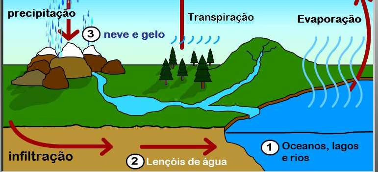 constante mudança de estado, havendo permanente troca dessa substância entre rios, lagos, mares, solos, atmosfera e seres vivos.