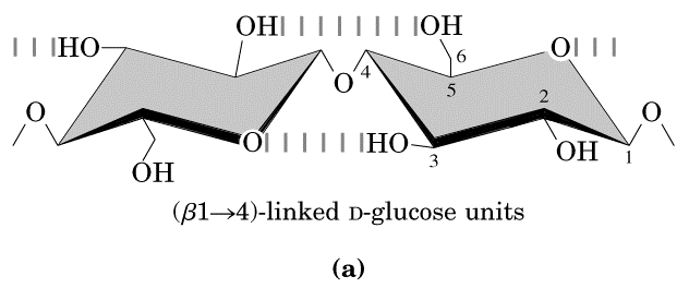 Celulose