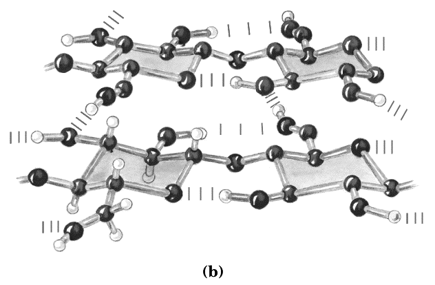 Celulose