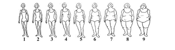 Relação entre cintura-quadril e imagem corporal em mulheres de meia-idade e idosas ativas fisicamente 289 Figura 1.