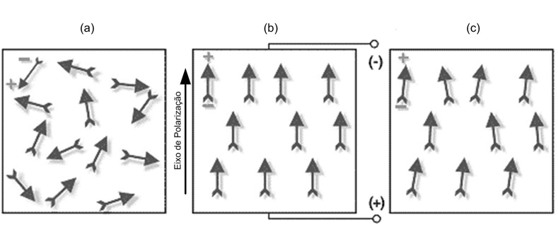 11 potenciais elétricos e esforços mecânicos a eles aplicados (ADRIAENS; KONING E BANNING, 2000).