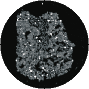 Figura 2 - Tomografia micrométrica de uma amostra de solo, onde são visíveis pontos de alta densidade, diferenciando-se fortemente do restante da imagem.