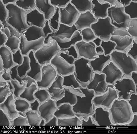 (a) Imagem microscópica gerada através de (SE) elétrons secundários e (b) superposição de (SE) e (BSE), MIX.