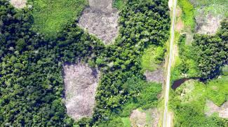 Impacts Approach Problem The Global REDD Programme for Early Movers Bridge financing for pioneers of forest protection Deforestation accounts for 11% (and incl.