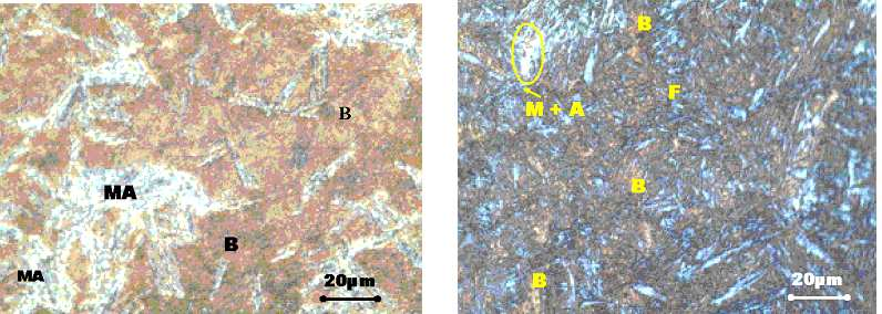 O terceiro ataque foi feito com o reagente LePera. Normalmente, quando se realizam ataques químicos para a observação por microscopia óptica, a bainita é de difícil visualização.