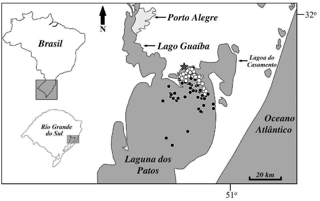 20 1.3 MATERIAIS E MÉTODOS 1.3.1 Área de amostragem A Laguna dos Patos, localizada no estado do Rio Grande do Sul Brasil, (Fig. 1.1) é considerada a maior laguna do tipo estrangulado do mundo (KJERFVE, 1986).