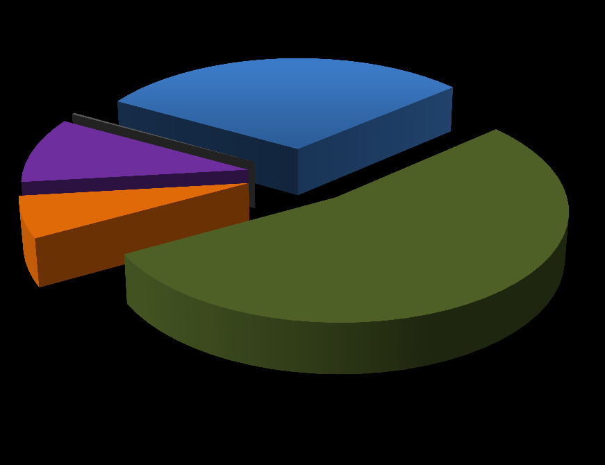 Valores em % Perfil dos usuários Estado civil 30,3 0,2 9,9 6,2