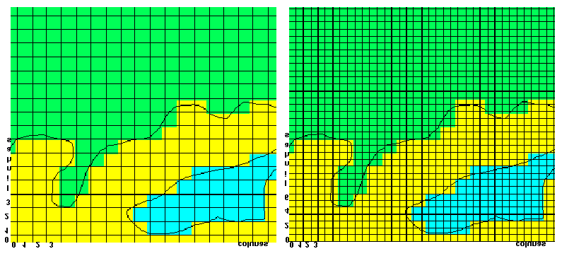 Tipos de