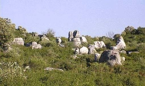 Serra d'aire Campo de