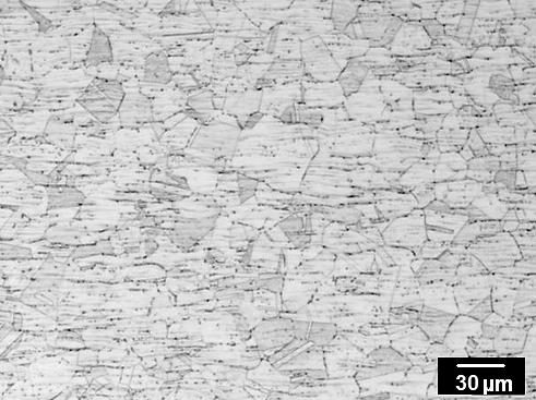 36 5.3.1 Análise Microestrutural As análises microestruturais de cada zona de solda específica são apresentadas nas micrografias a seguir. O MB (Figura 5.