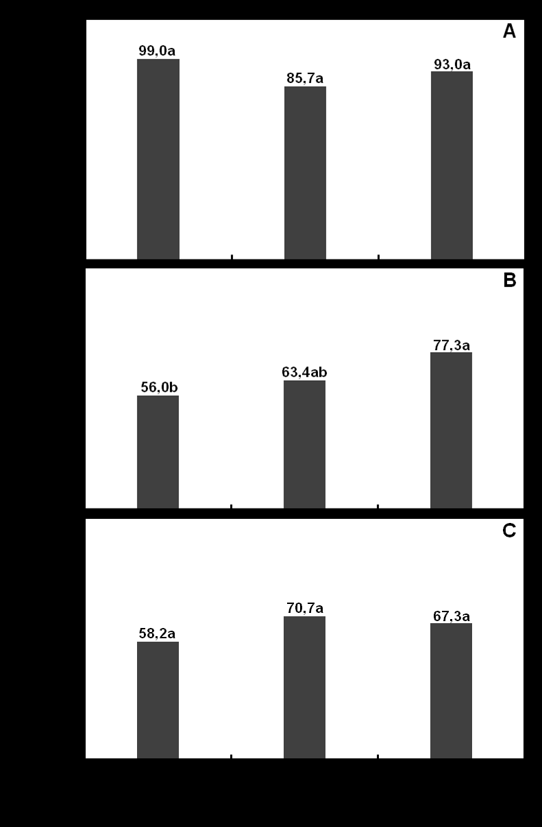 73 produziram 29, 15 e 19 Kg a mais de frutos assintomáticos, respectivamente nas safras 2006, 2007 e 2008, que plantas inoculadas de forma artificial (Figura 19).