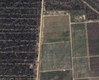 5 Imagem de satélite da Fazenda Santa Maria, Petrolina, Brasil, com localização das parcelas experimentais,