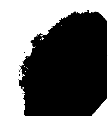 (b) 7 bits por pixel (128 tons de cinza), (c) 4 bits por pixel