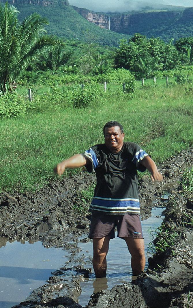 Mato Grosso