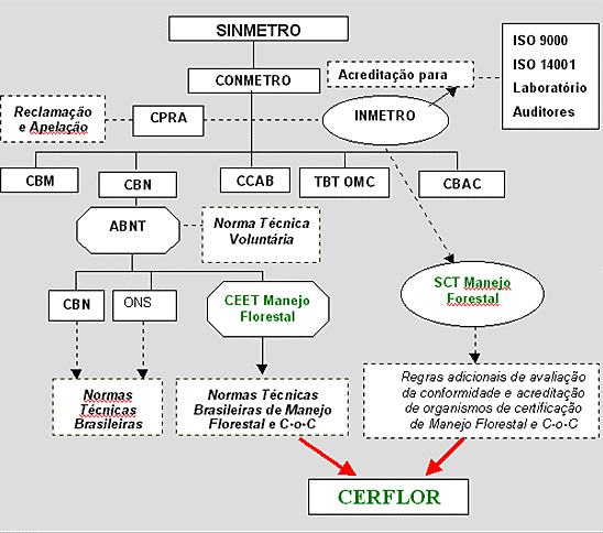 8. Programa Nacional de Certificação Florestal - Cerflor Desde 1996 a Sociedade Brasileira de Silvicultura SBS, em parceria com algumas associações do setor, instituições de ensino e pesquisa,