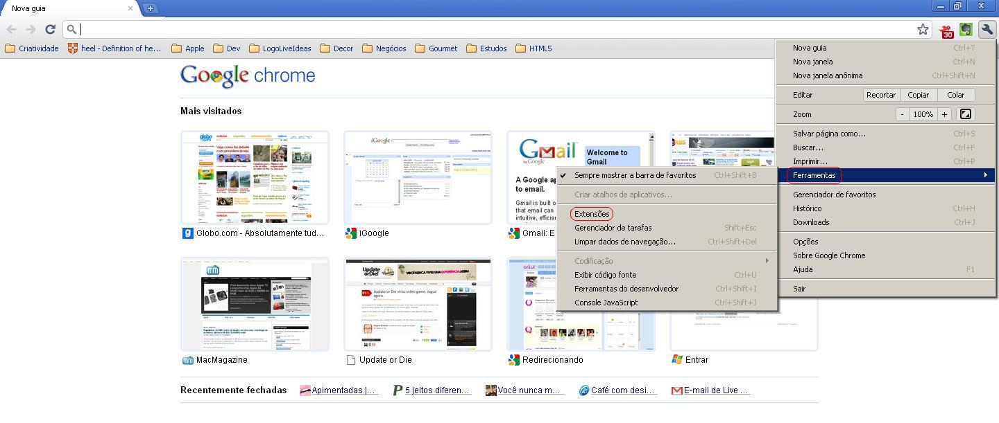 2.8. Utilização do navegador Google Chrome Para a visualização das imagens utilizando o navegador Google Chrome, é necessário utilizar a versão 3.