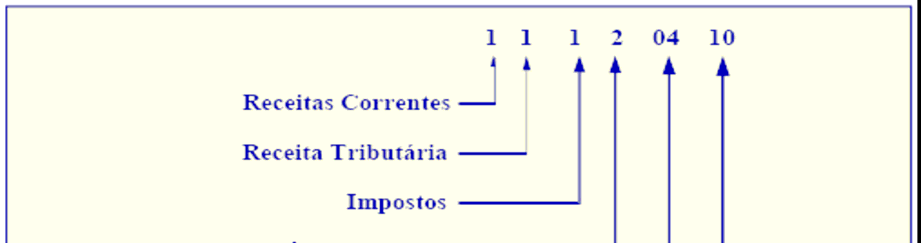 1.4. Rubrica A rubrica é o nível que detalha a espécie com maior precisão, especificando a origem dos recursos financeiros.