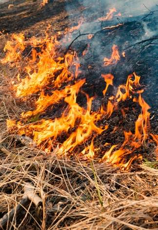 Como agir em casos de incêndios acidentais 1 4Mobilizar todas as pessoas da fazenda e vizinhos para evitar que o fogo fique incontrolável; 4Acionar o Corpo de Bombeiros, Prefeitura Municipal ou a