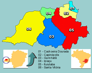 54 microrregiões do Estado de Minas Gerais, do Pontal do Triângulo