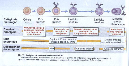 ONTOGENIA