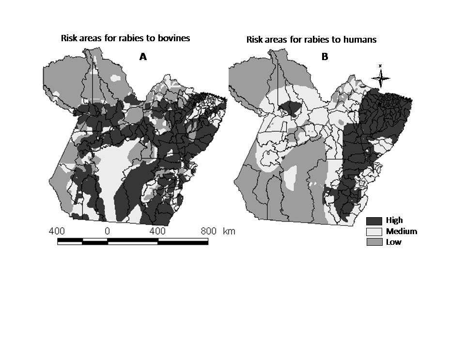 concentração dos grandes rebanhos bovinos e a elevada densidade de casos de raiva desses herbívoros foi observada somente para a mesorregião Sudeste.