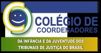 Introdução Esse trabalho consiste em contatar todas as ias da Infância e da Juventude dos Tribunais de Justiça dos Estados e Distrito Federal, a fim de atualizar as informações gerais dessas ias, de