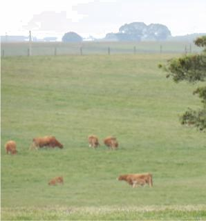 A Reserva da Biosfera proposta constitui-se, portanto, como uma