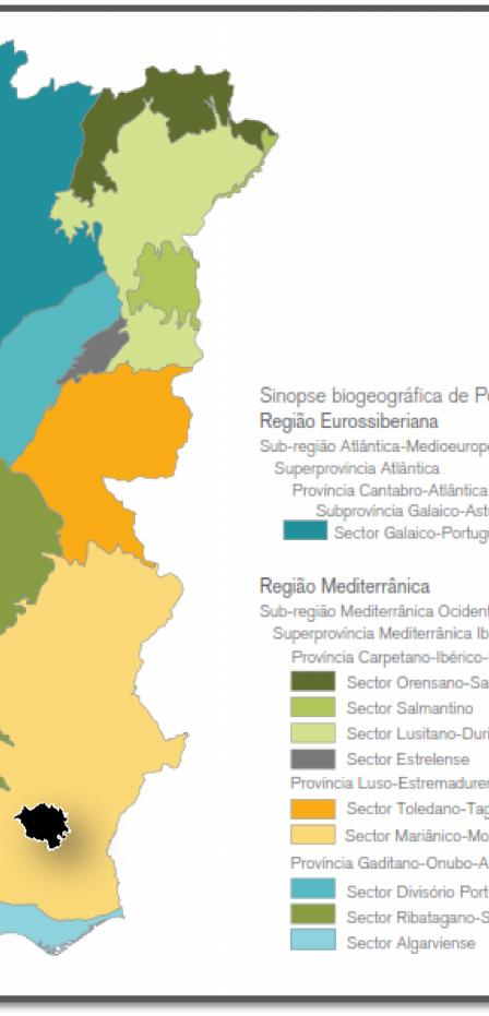 MEDITERRÂNICA IBERO-ATLÂNTICA Província LUSO-EXTREMADURENSE Sector MARIÂNICO-MONCHIQUENSE RESERVA DA BIOSFERA De CASTRO VERDE Figura 4 Mapa representativo da forma hierárquica das Regiões,