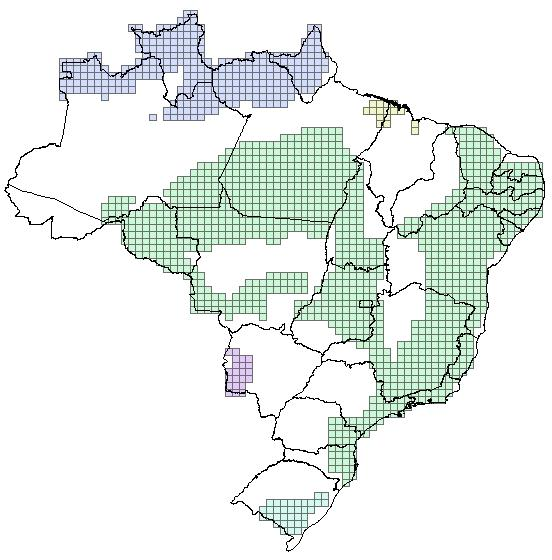 Domínio do Embasamento 1500~4,5 Milhões km2