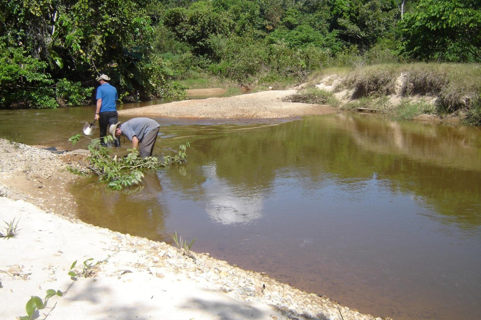 do de Brasil Coleta