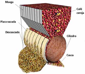 Produção de Café Cereja Descascado Equipamentos e Custo de Processamento 7 descascador de cerejas maduras, ilustrado na Figura11a.