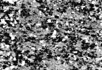 65 Laminação 1 mm Figura 4.72. Micrografia da liga Al-0,84Fe-0,63Si recozida por 40 minutos a 315ºC. Aumento: 16x. Laminação 1 mm Figura 4.73.