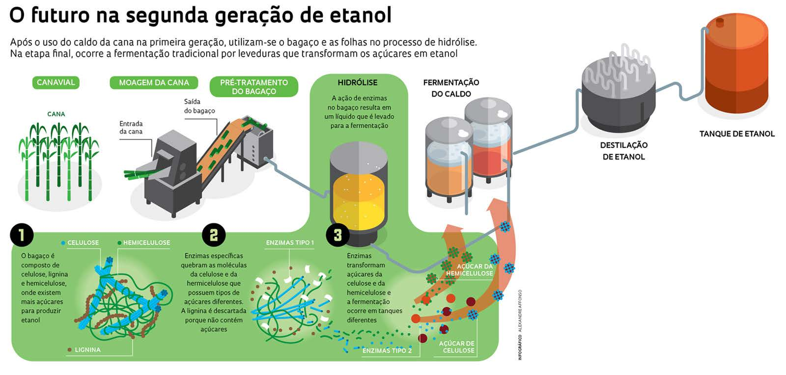 Fonte: FAPESP http://revistapesquisa.fapesp.