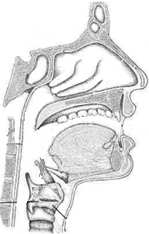 estimação do impulso glotal: filtragem inversa usa o sinal de voz (i.e. o sinal de filtro) para estimar o sinal de fonte (i.e. o impulso glotal) usando um procedimento computacional: filtragem inversa AVPV ESS.