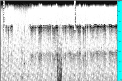 É possível observar no mapa de ecocaráteres (Fig. 11) alguma alternância entre os ecos tipo 1 e tipo 3.