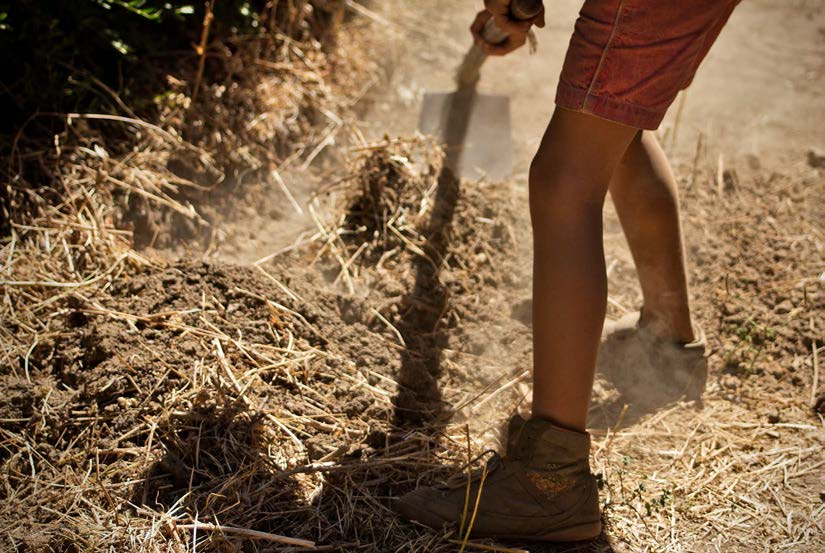 À procura das raízes Mariana