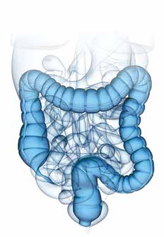 14:00-17:30h CURSO 4: INTESTINAL FAILURE Coordenadores: Carolynne Vaizey (Londres) e José Assunção Gonçalves Intestinal failure: Definition, etiology and pathophysiology (What is it?