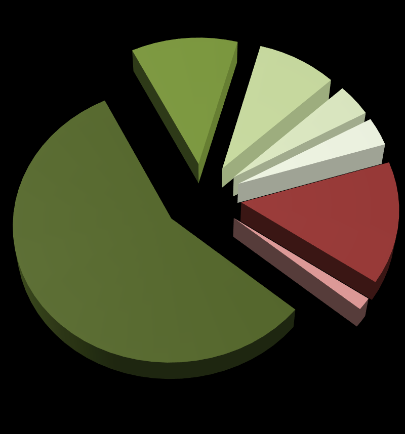 10,0 6,9% 3,6 2,5% 30 14,5% 2,0 1,4% 88,8 61,0% Hidrelétrica Biomassa