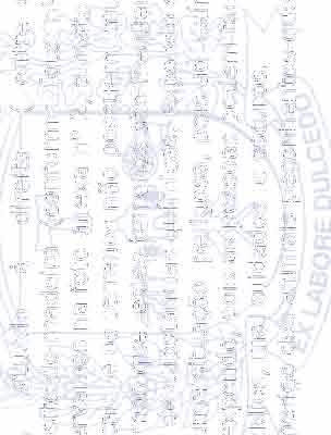 Amélia nos procuraram informando-nos de vários problemas existentes naquela região, a saber: terreno, situado à direita (entre o número 117 e 135) transformado em um depósito de madeira (conforme