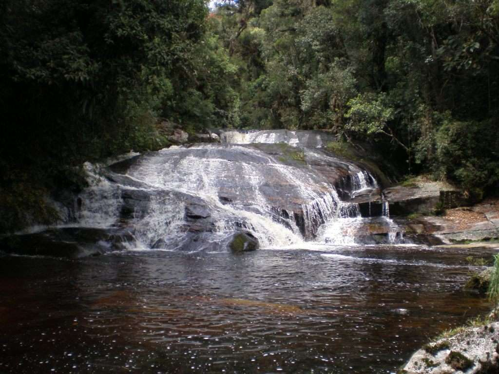 Mata Atlântica Floresta Pluvial