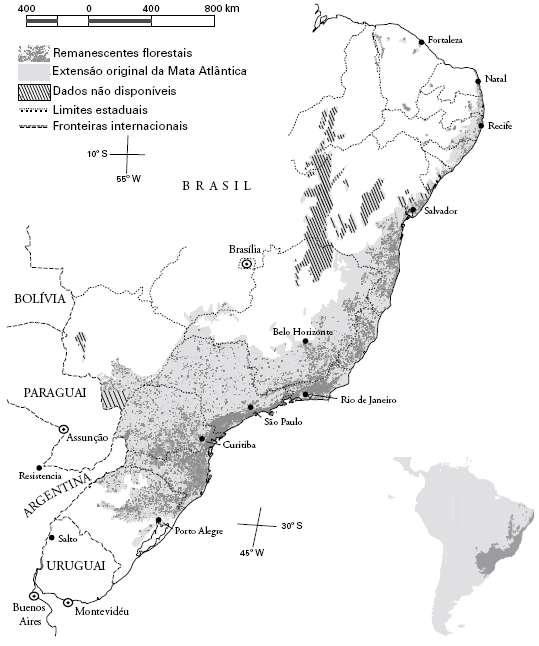 Mata das Araucárias (Ombrófila mista) Planaltos Interiores (RS, SC e PR) Altitudes acima de 500m 2 a 4% preservada Araucaria angustifolia, canela Mata Atlântica mosaico florestal Floresta Ombrófila