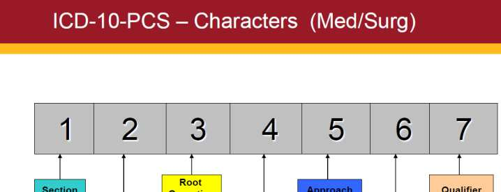 ICD-10 e ICD-10-CM & ICD-10-PCS