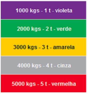 Estropo Poliester 2mt x 30mm Cor Violeta p/ 1Ton. Estropo Poliester 3mt x 30mm Cor Violeta p/ 1Ton. Estropo Poliester 4mt x 30mm Cor Violeta p/ 1Ton. Estropo Poliester 5mt x 30mm Cor Violeta p/ 1Ton.