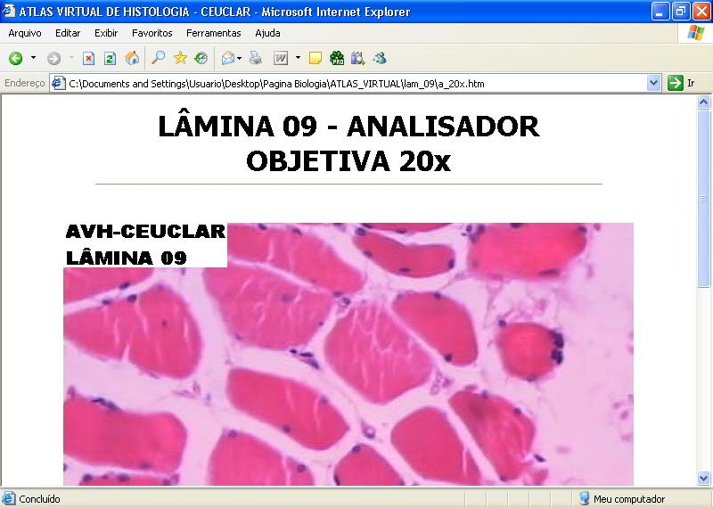 Figura 5: página padrão das imagens de lâminas feitas pelo Analisador neste caso, zoom de 20x da lâmina 09.