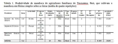 Produtividade de mandioca de agricultores familiares de Tracuateua, Pará, que cultivam a mandioca em fileiras simples sobre as leiras (média de quatro repetições).