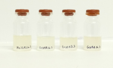 Tabela 4: Fontes padrão utilizadas para a calibração em eficiência do sistema de espectrometria gama com detector HPGe do CRCN- NE/CNEN.