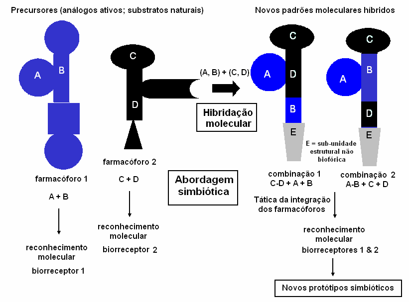 Fármacos simbióticos: desenho molecular Hibridação molecular eliezer@2007 FG liveira, CMR Sant